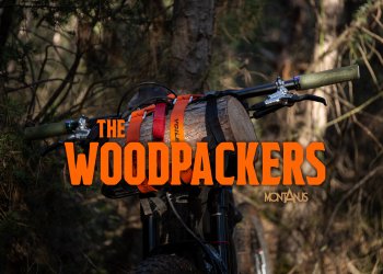 the woodpackers montanus