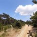 Hvar Brac trail