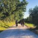 gravel ride dei 5 laghi bikepacking umbria